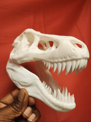 T Rex 3D Printed Skull